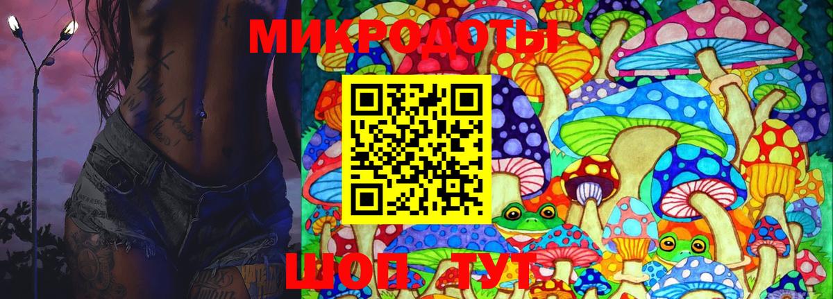 Галлюциногенные грибы Psilocybine cubensis Ковров