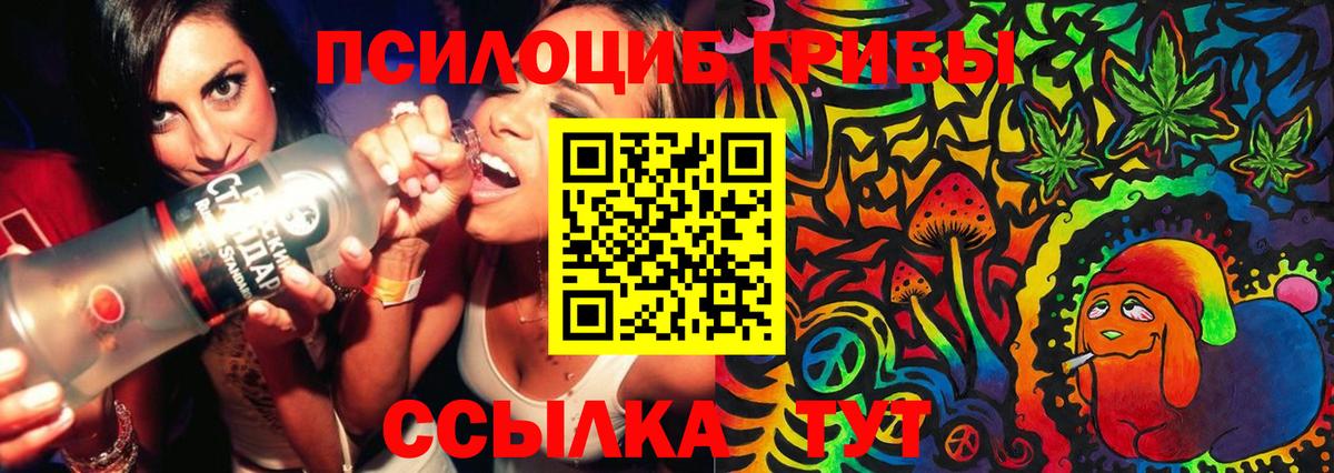 Псилоцибиновые грибы GOLDEN TEACHER  Вход с VPN  хочу   Ковров 
