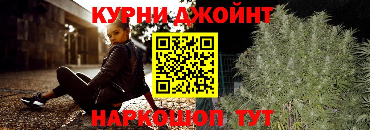 Каннабис сатива Ковров